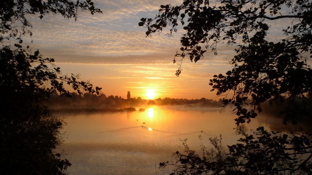 Solopgang over Utterslev Mose med morgendis ved Husum, København