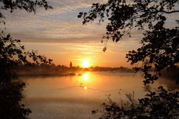 Vejret i Husum København: Utterslev Mose-Klima og Lokal Prognose