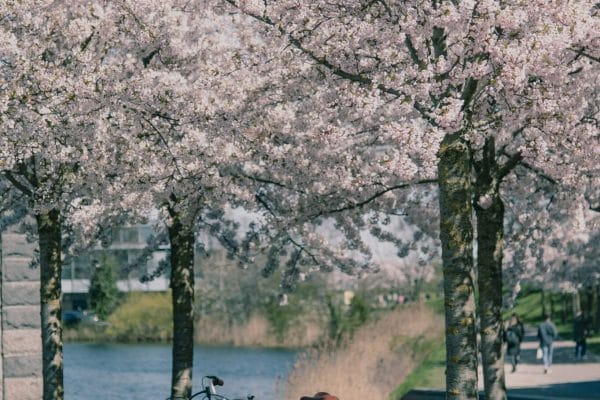 København Vejr Måned for Måned – Januar til December